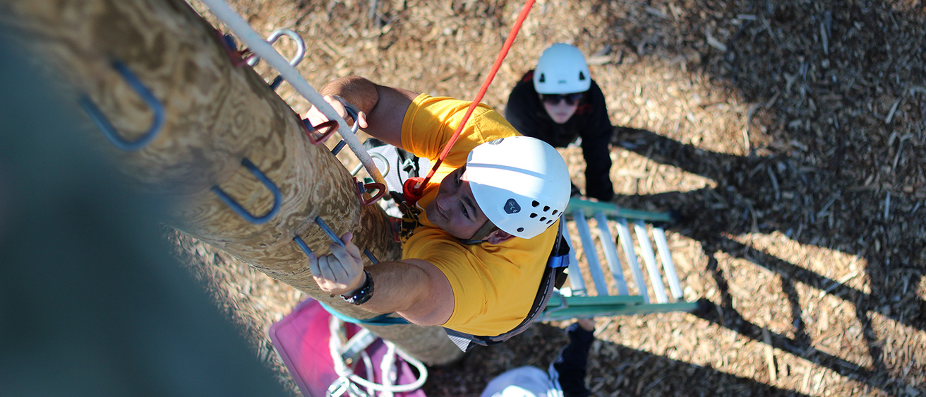 People climbing a pole