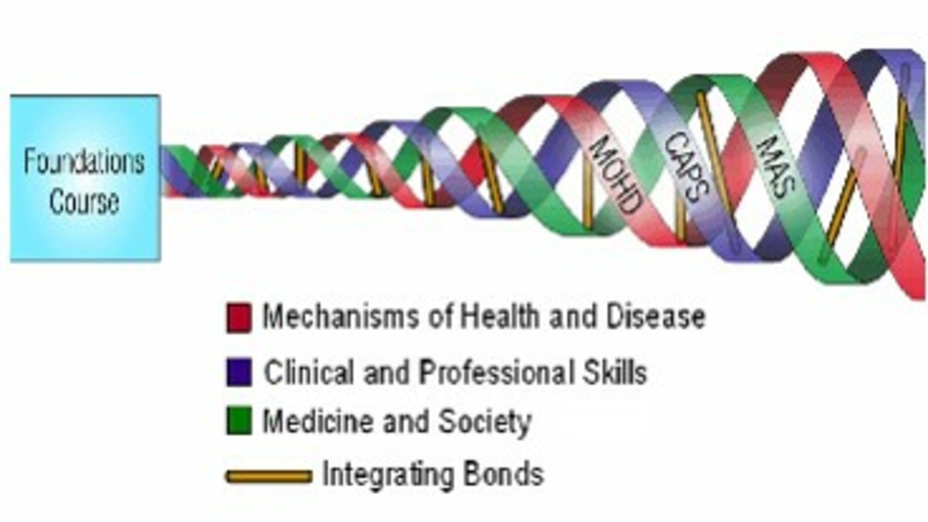 Depiction of Integrated Curriculum 