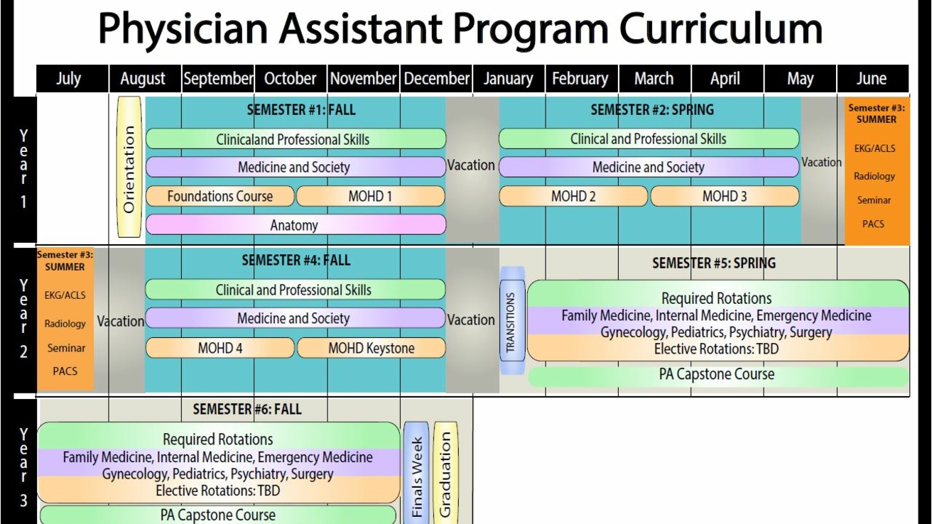 Layout of 28-Months PA Program Curriculum